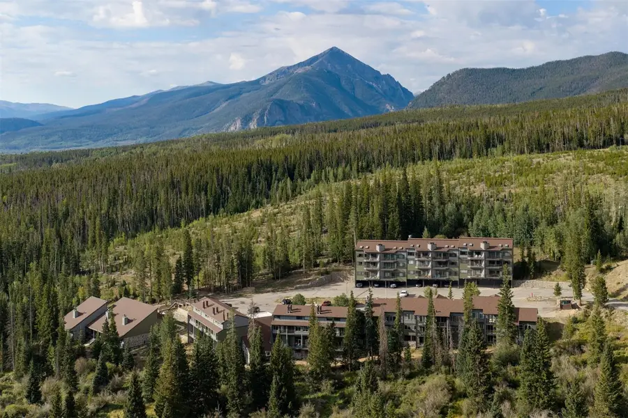 10000 Ryan Gulch Road #312, Silverthorne, CO 80498 - #2
