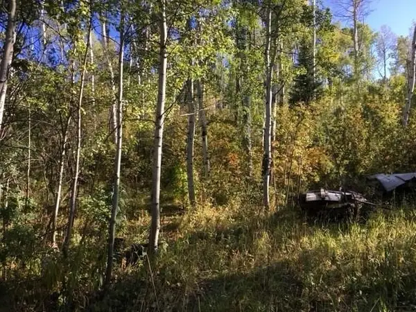 t/b/d Rcr 24 Road, Steamboat Springs, CO 80487