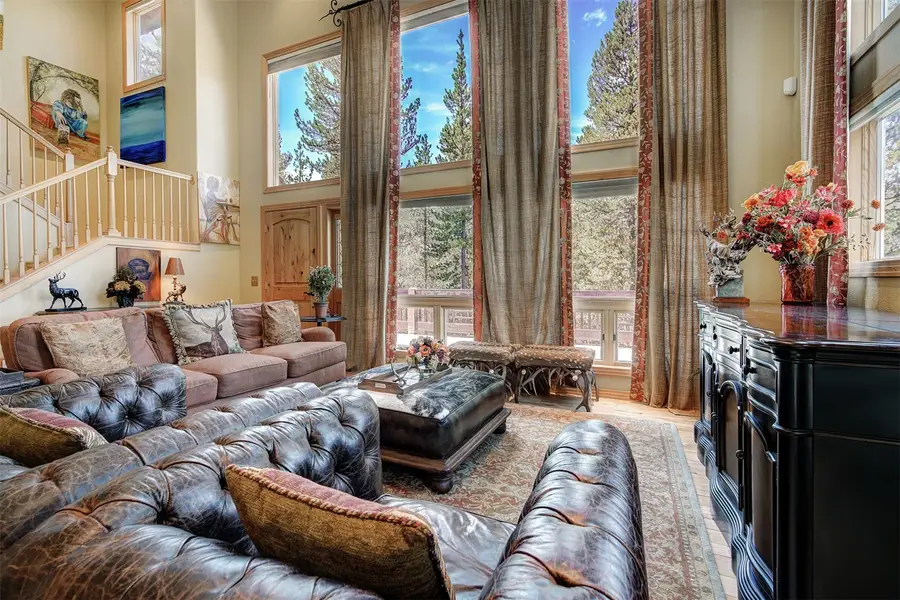 139 Pennsylvania Creek Trail, Blue River, CO 80424 - #3