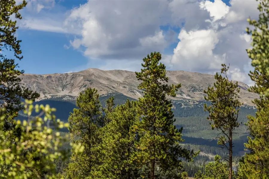 210 S Gold Flake Terrace, Breckenridge, CO 80424 - #2