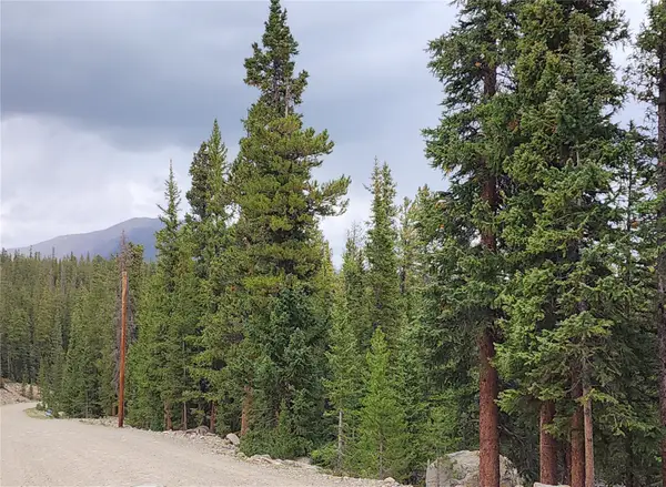 806 Bobcat Lane, Fairplay, CO 80440