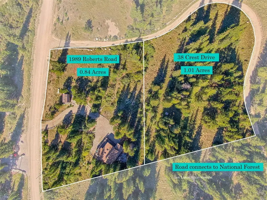 1989 Roberts Road, Alma, CO 80420 - #3