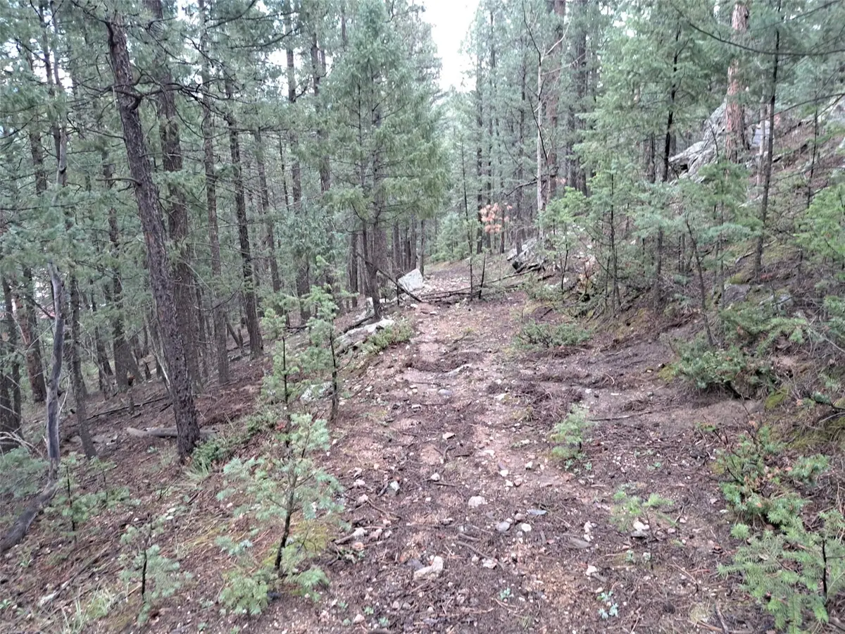 360 Hi Meadow Drive, Bailey, CO 80421 - #1