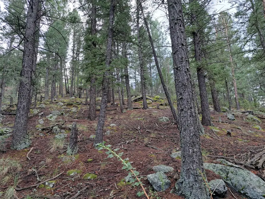 360 Hi Meadow Drive, Bailey, CO 80421 - #2