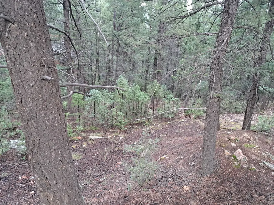 360 Hi Meadow Drive, Bailey, CO 80421 - #3