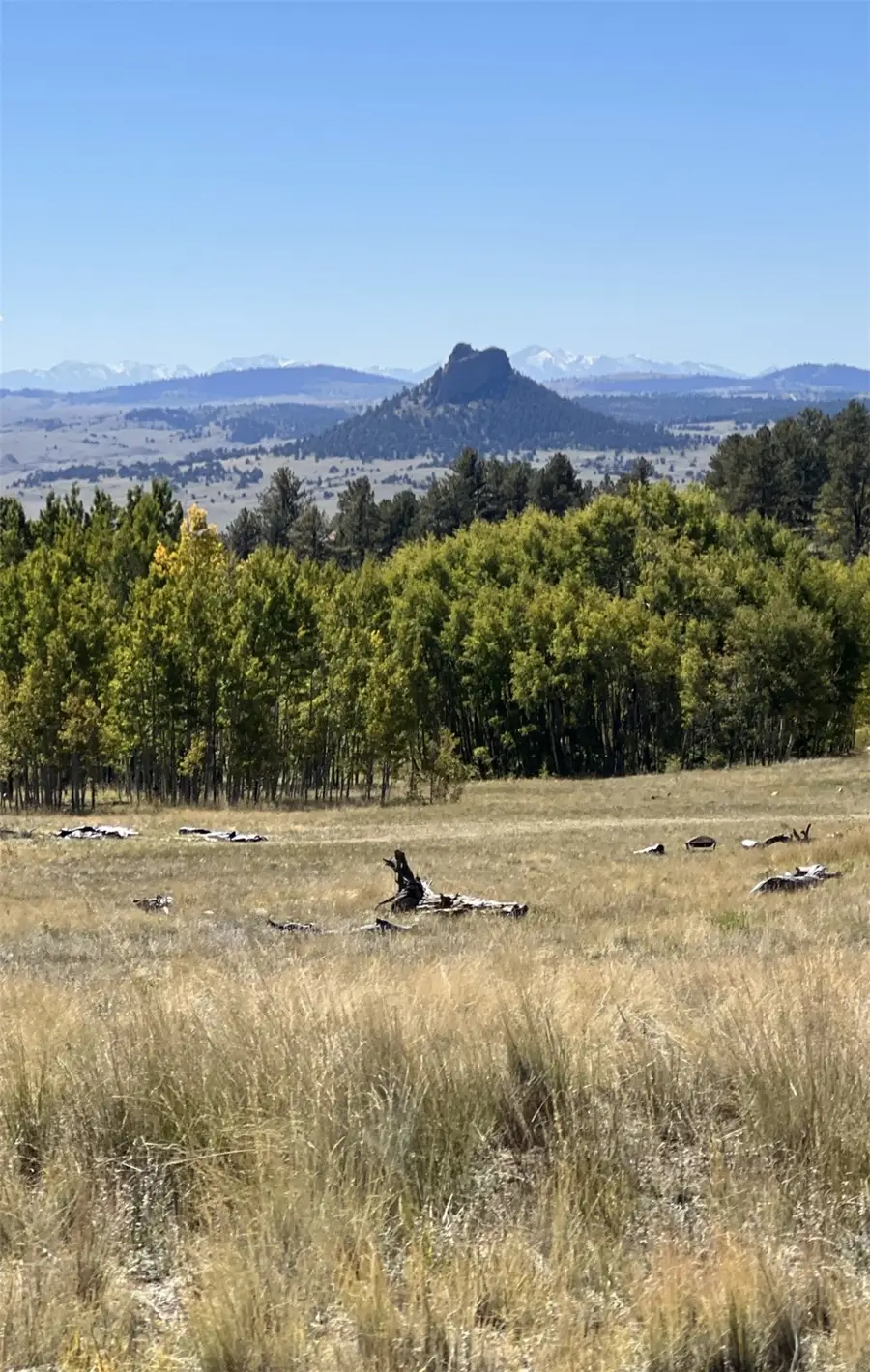 503 Sugar Loaf Lane, Jefferson, CO 80456 - #2