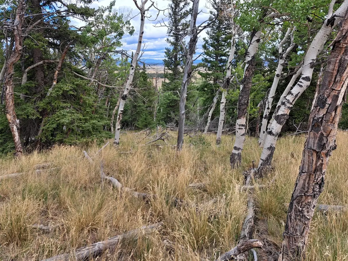 1844 High Creek Road, Fairplay, CO 80440 - #1