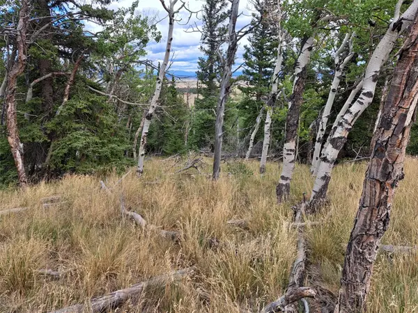 1844 High Creek Road, Fairplay, CO 80440