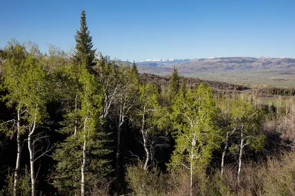 34905 Rockledge Road, Steamboat Springs, CO 80487