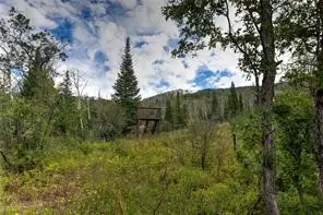 34905 Rockledge Road, Steamboat Springs, CO 80487 - #3