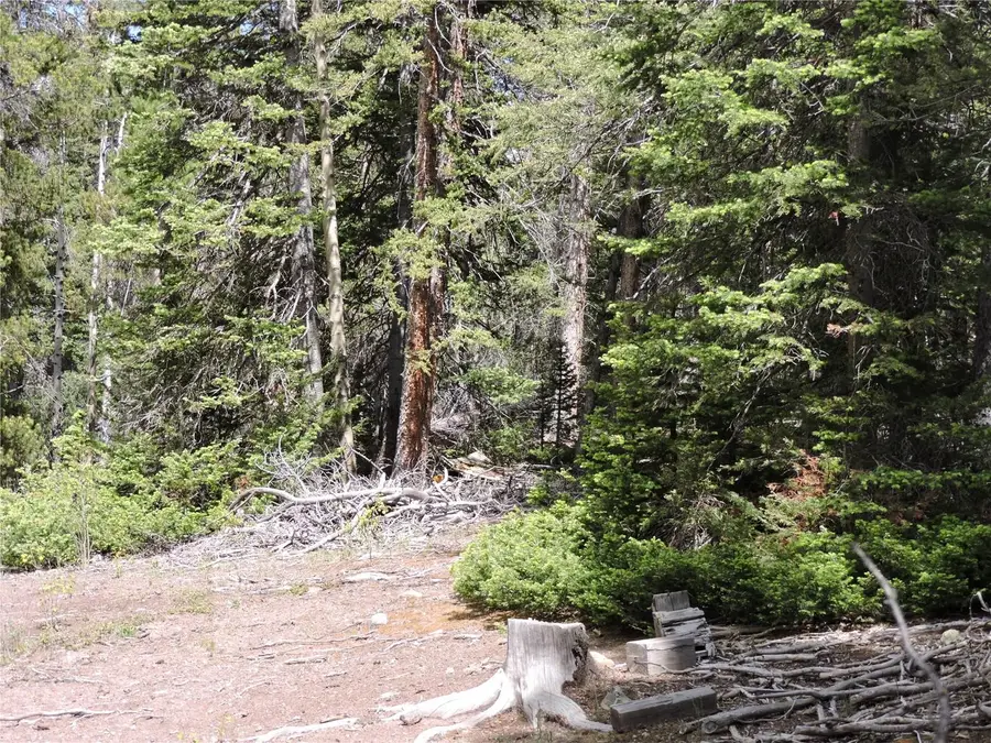00 Georgia Pass Lookout, Jefferson, CO 80456 - #2