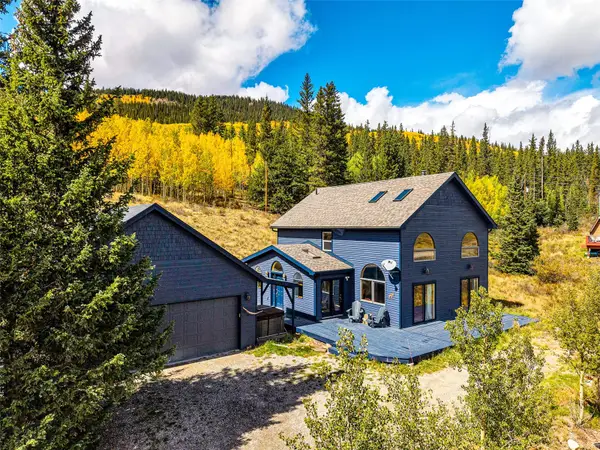 1881 River Drive, Alma, CO 80420
