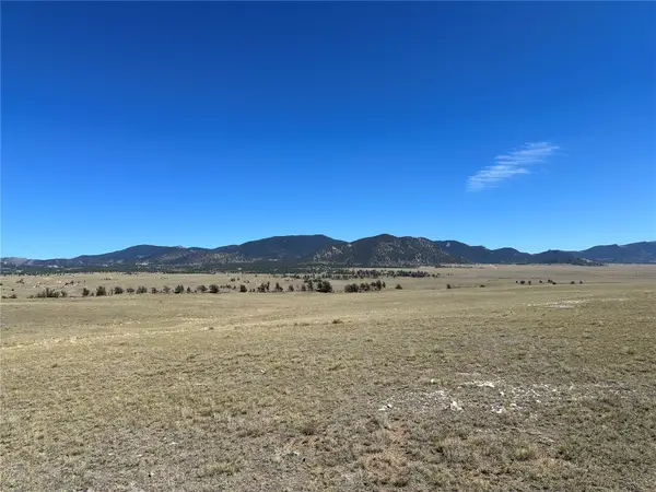 2418 Goldenburg Canyon Road, Hartsel, CO 80449
