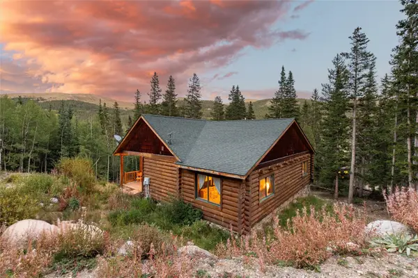 253 Ute Trail, Alma, CO 80440