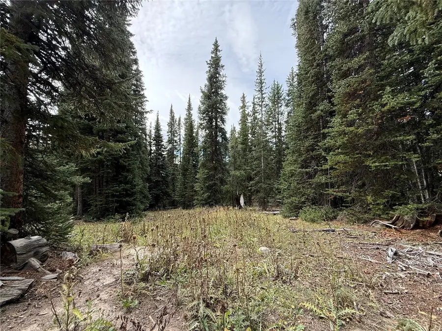 244 Camron Lane, Breckenridge, CO 80424 - #3