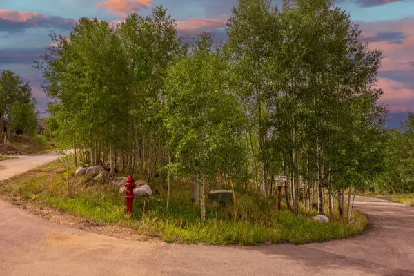 12 Harvest Moon Road, Silverthorne, CO 80498