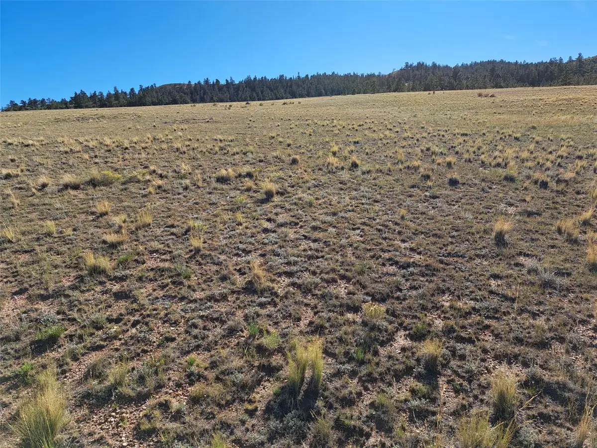 475 Summit Road, Hartsel, CO 80449 - #1