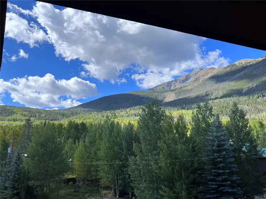 670 S 7th Avenue #339, Frisco, CO 80443 - #2