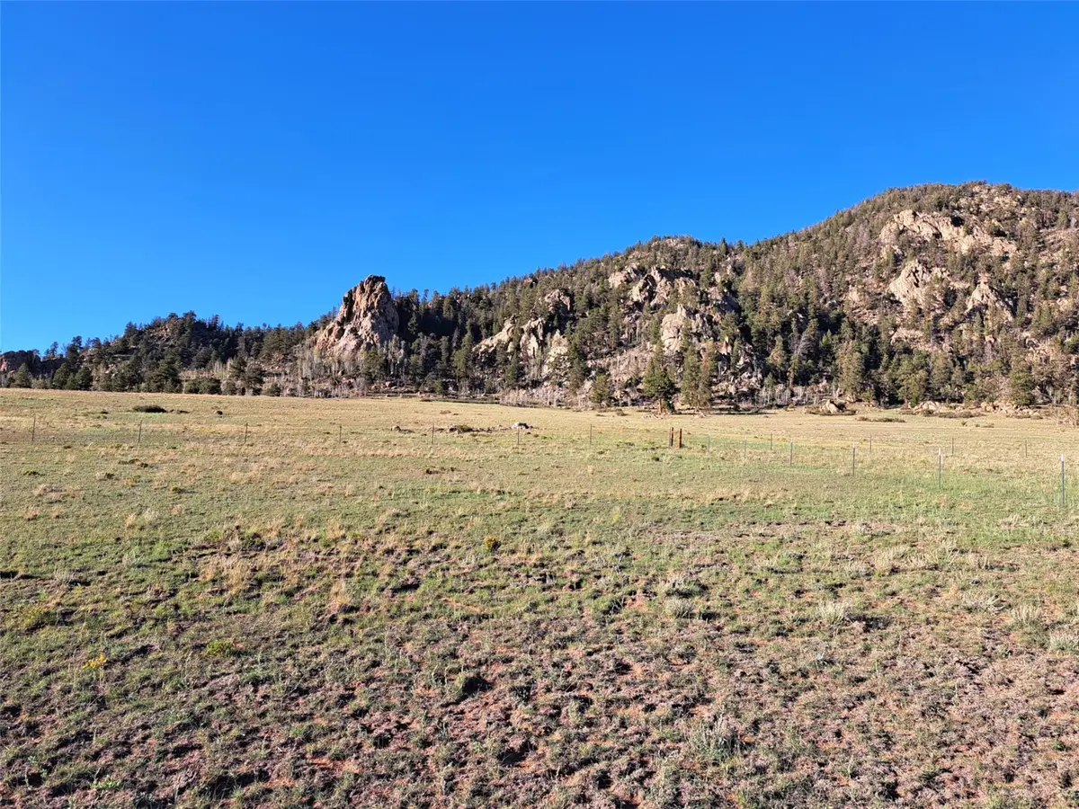 6675 Jefferson Road, Hartsel, CO 80449 - #1