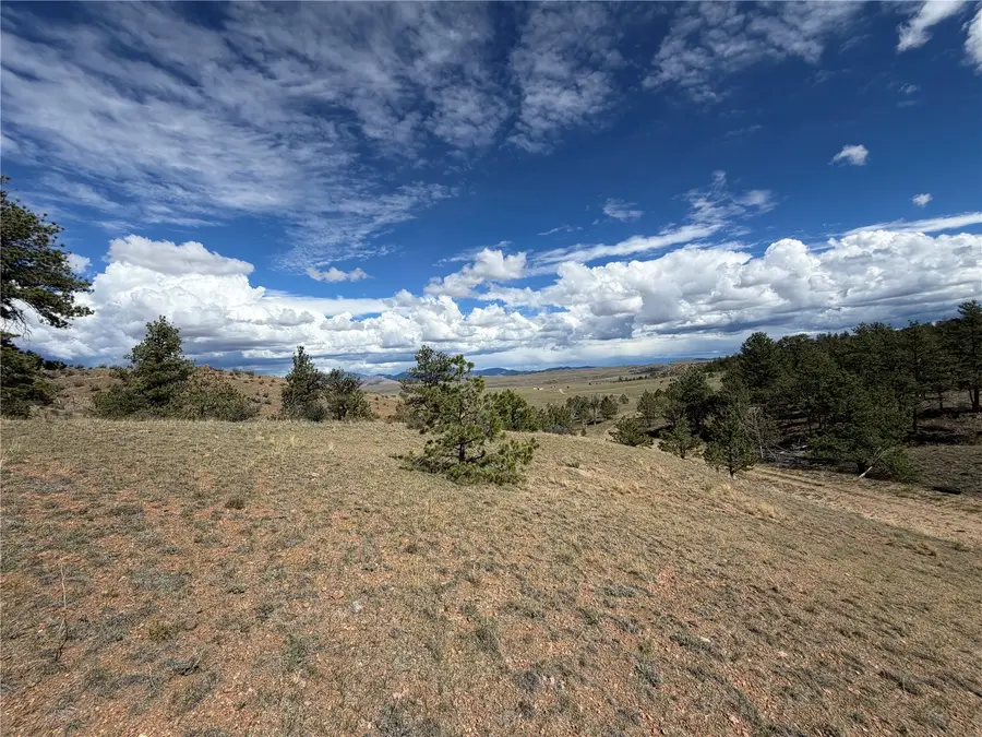 0 Wren Court, Hartsel, CO 80449 - #2