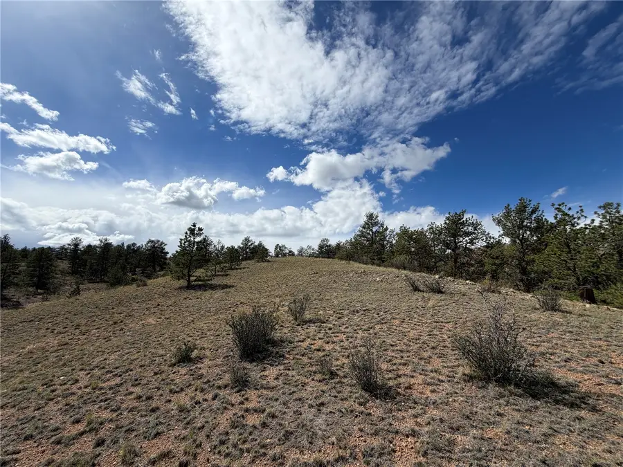 0 Wren Court, Hartsel, CO 80449 - #3