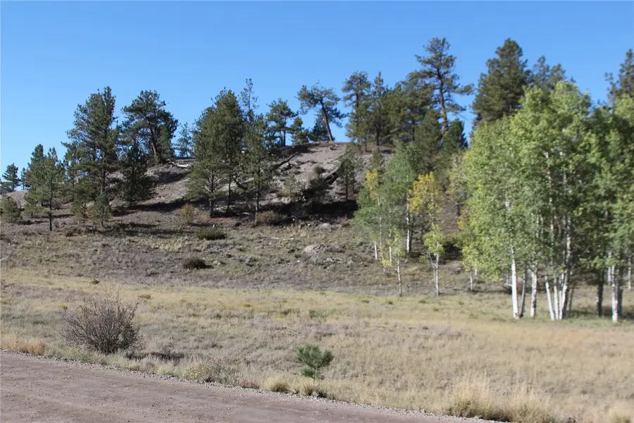 2721 Ranch Road, Hartsel, CO 80449 - #2