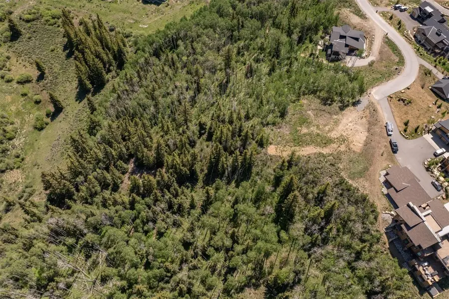 70 Mayfly Drive, Silverthorne, CO 80498 - Image #3