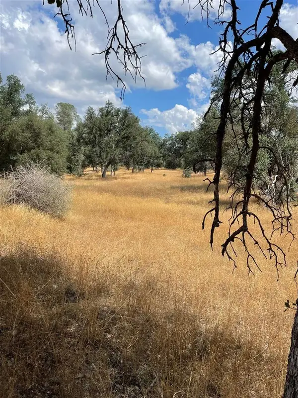 Bull Creek Rd 2s05, Coulterville, CA 95311