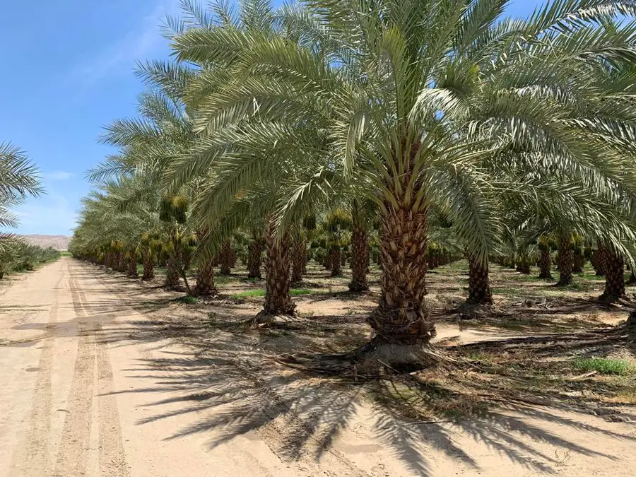 0 Pierce St & Airport Blvd, Thermal, CA 92274 - #3