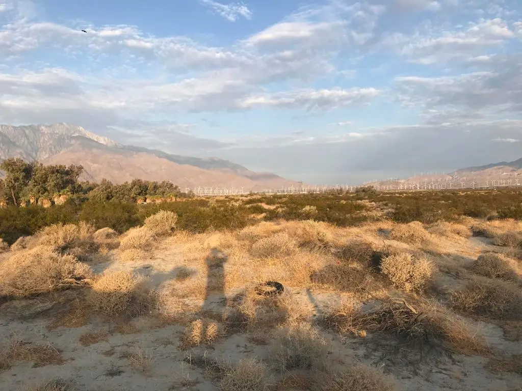 0 Palm Drive, Desert Hot Springs, CA 92240 - #1