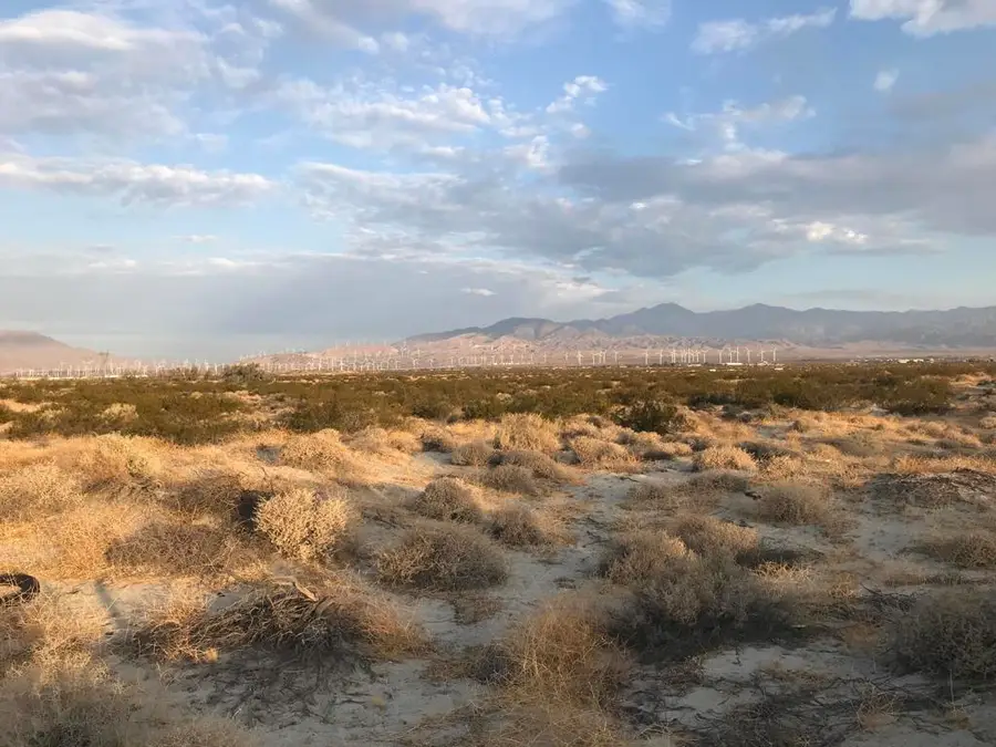 0 Palm Drive, Desert Hot Springs, CA 92240 - #2