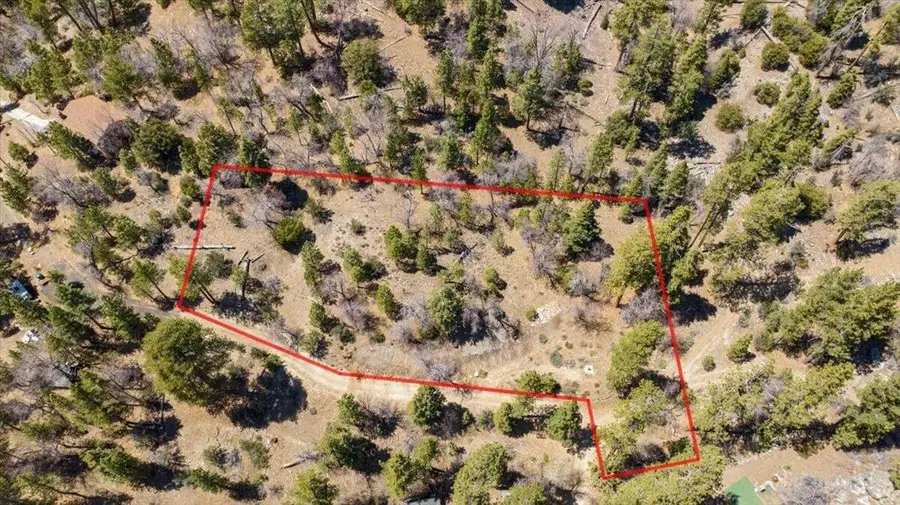 1286 Fawnskin Drive, Fawnskin, CA 92333 - #2