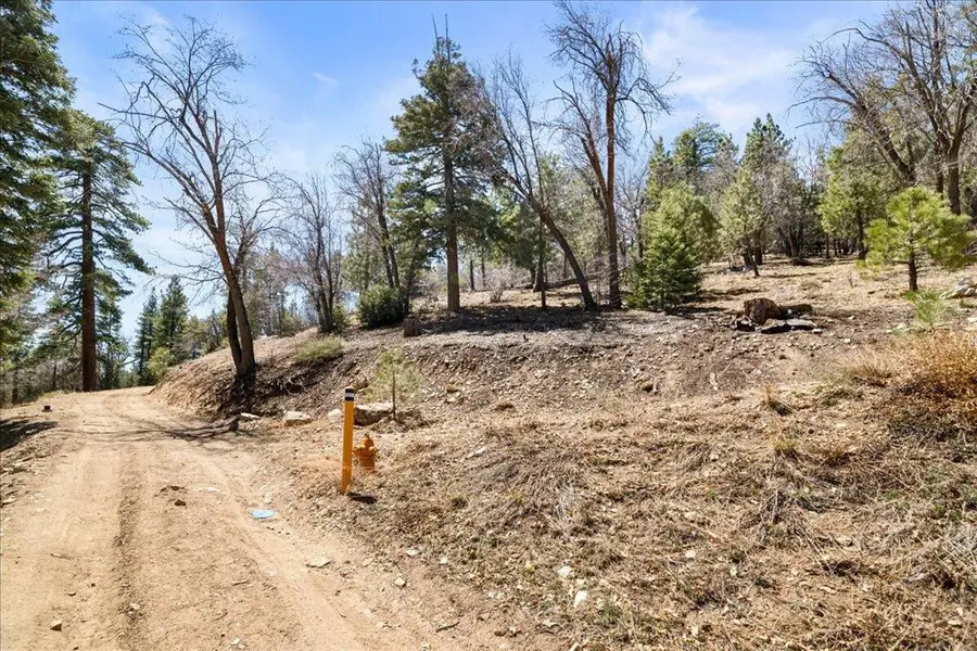 1286 Fawnskin Drive, Fawnskin, CA 92333 - #3