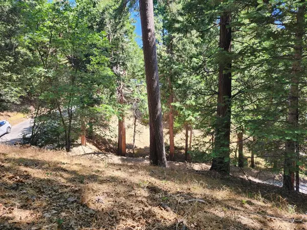 0 Edelweiss Drive, Crestline, CA 92325