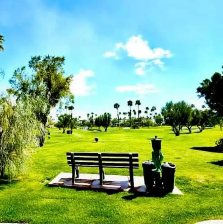 69411 Ramon Road #167, Cathedral City, CA 92234 - Image #3