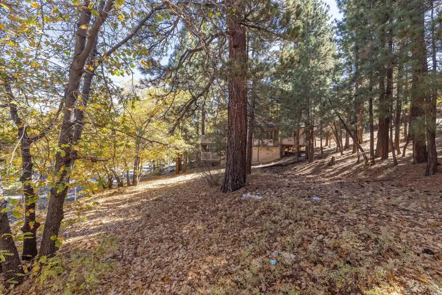 1409 Klamath Road, Big Bear City, CA 92314 - #3