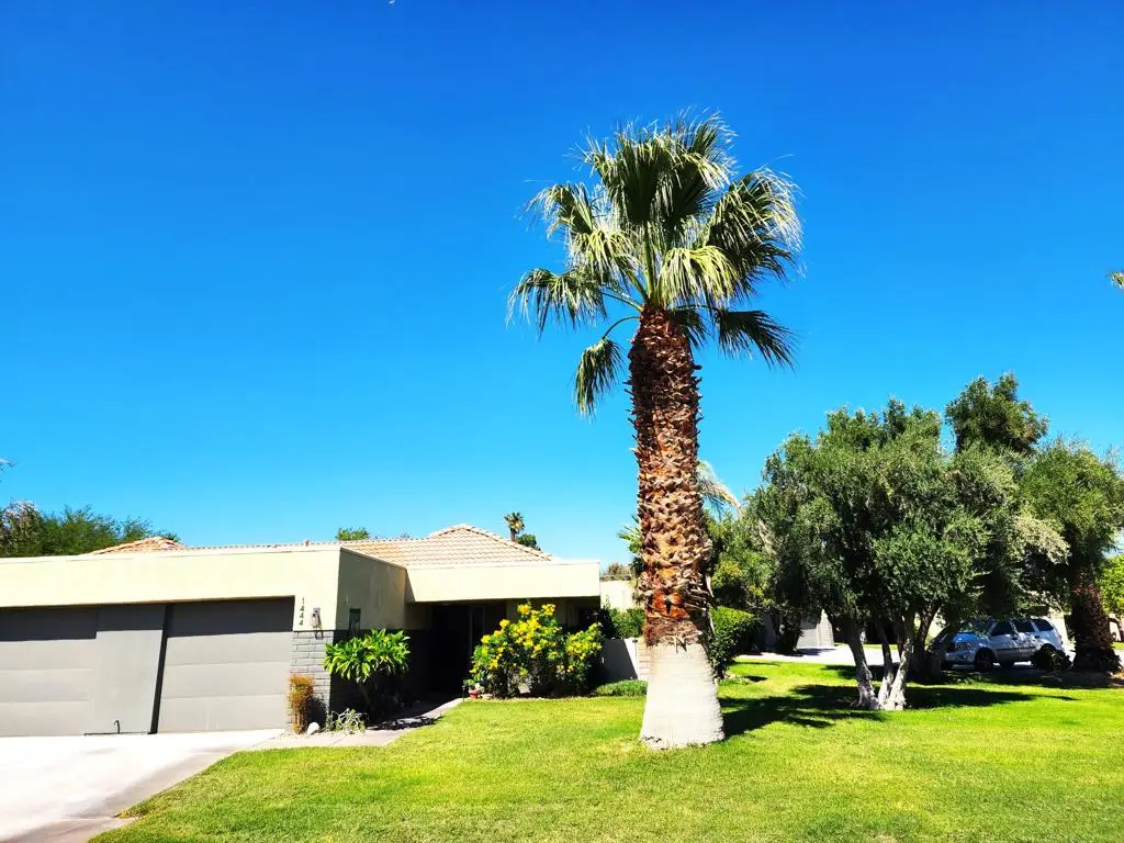 1444 Sunflower Circle N, Palm Springs, CA 92262 - #1