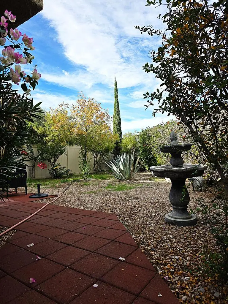 1444 Sunflower Circle N, Palm Springs, CA 92262 - #3