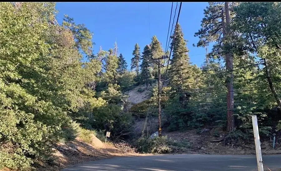 326211020 Angeles Drive, Green Valley Lake, CA 92341 - Image #3