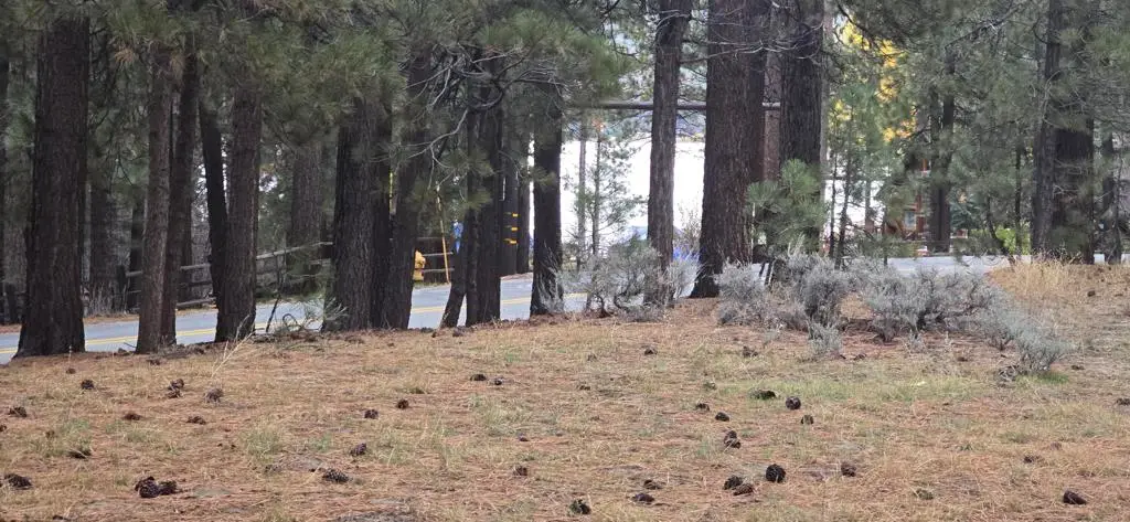 39731 Lakeview, Big Bear, CA 92315 - Image #1