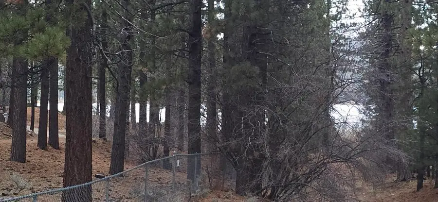 39731 Lakeview, Big Bear, CA 92315 - Image #2