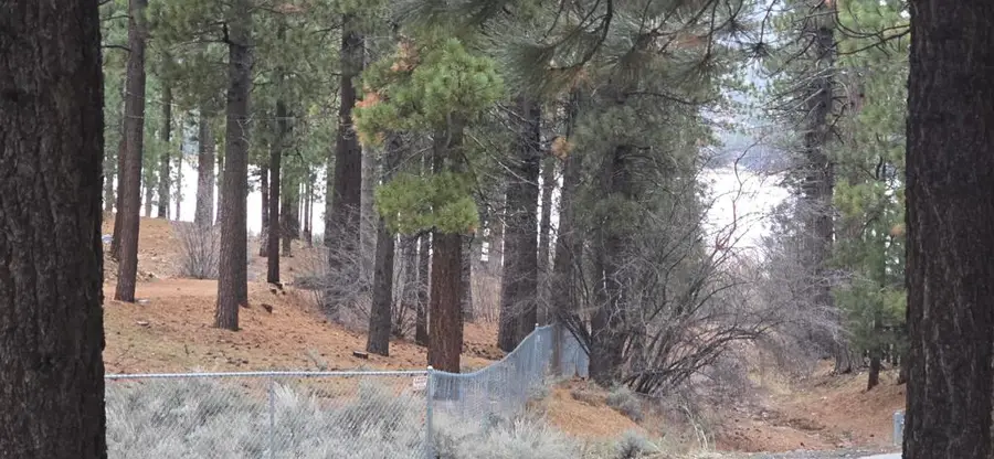 39731 Lakeview, Big Bear, CA 92315 - Image #3