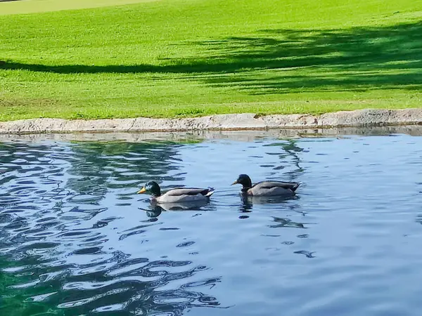 49211 Douglas Street, Indio, CA 92201