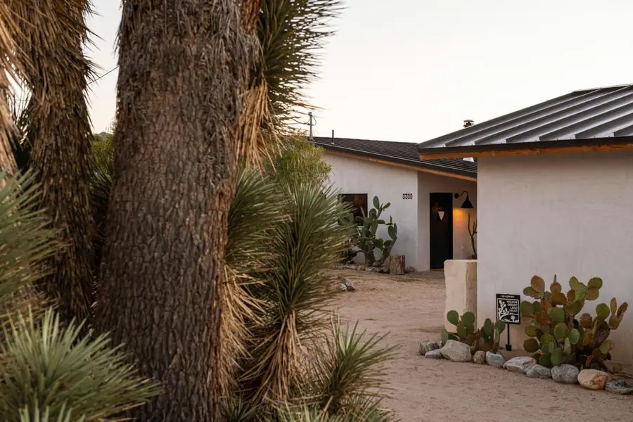 8388 Old Vine Road, Joshua Tree, CA 92252 - Image #3