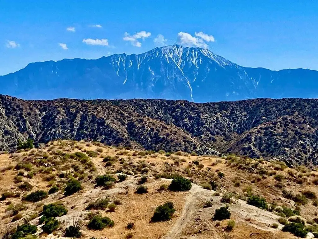102 Matzene Drive, Morongo Valley, CA 92256 - #1
