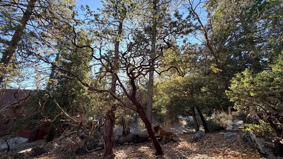 53040 Starlite Lane, Idyllwild, CA 92549 - Image #2