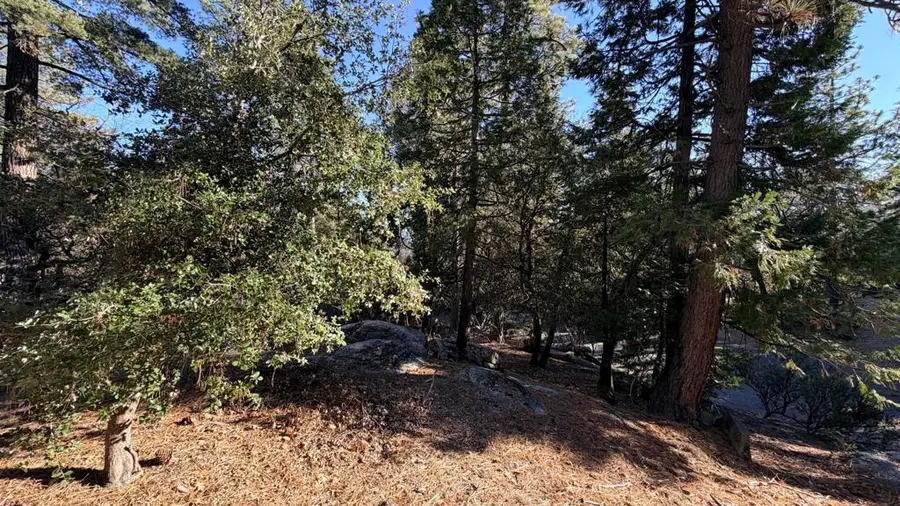 53040 Starlite Lane, Idyllwild, CA 92549 - Image #3