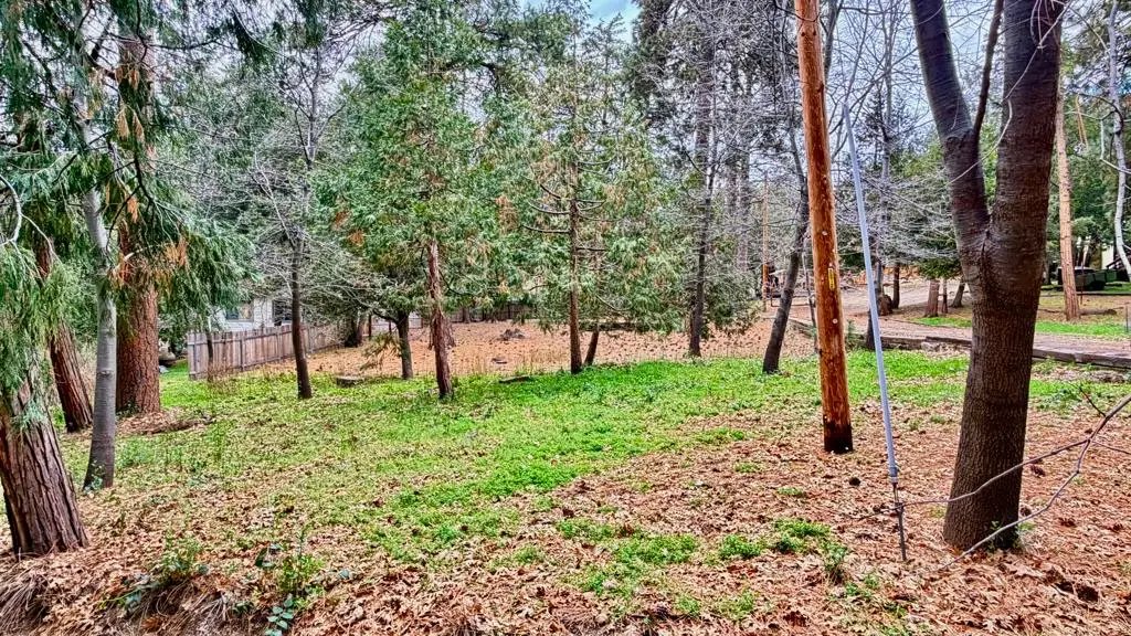 52671 Cedar Drive, Idyllwild, CA 92549 - Image #1