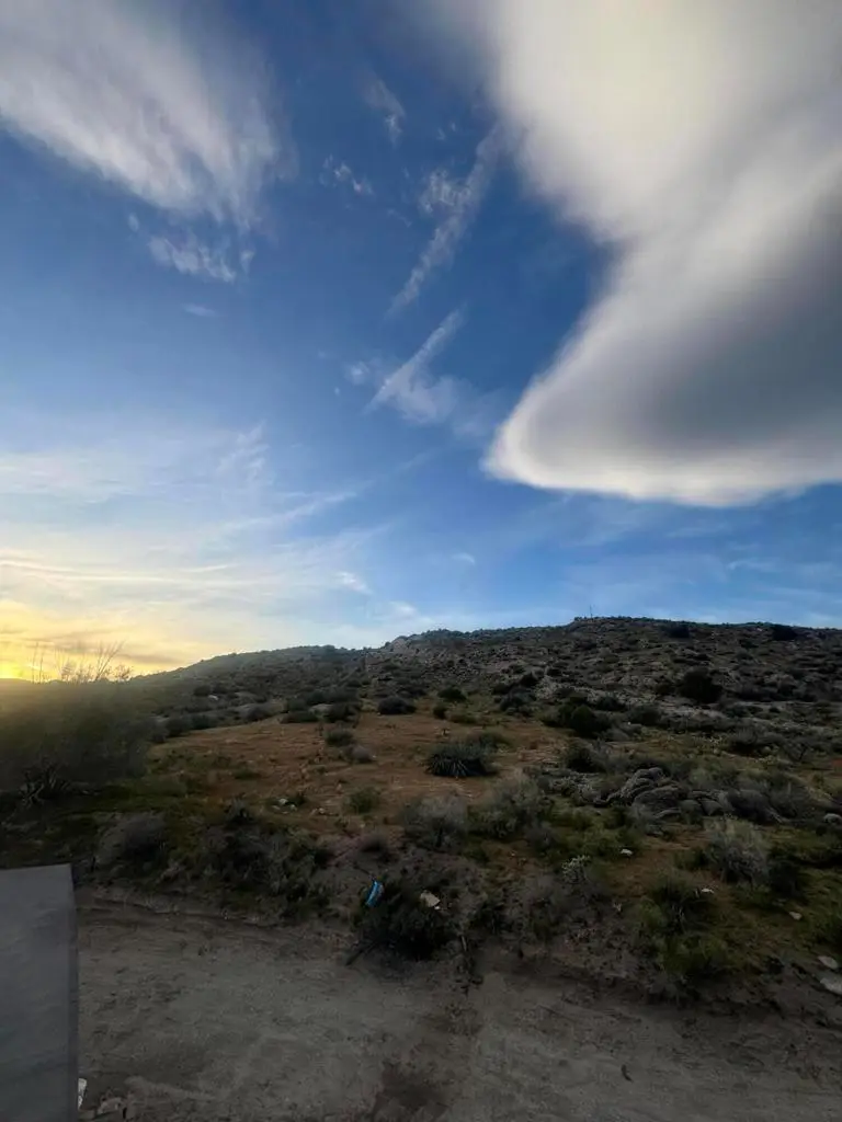 49075 Matzene Drive, Morongo Valley, CA 92256 - #3