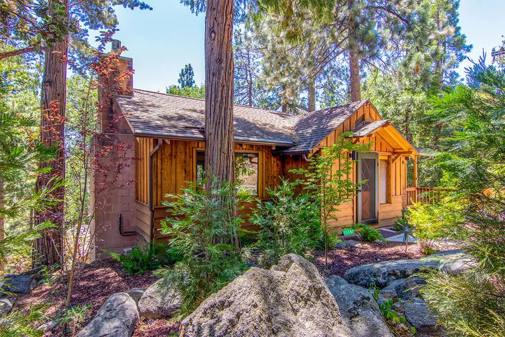 25284 Lakeview Drive, Idyllwild, CA 92549 - #1